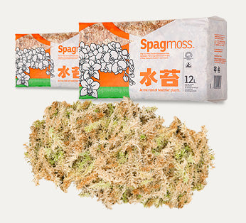 Besgrow Sphagnum Moss Compressed 8L/ 100g