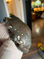 White's Tree Frog - Goldflake Snowflake