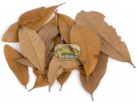 NewCal Live Oak (Dried) Leaf Litter