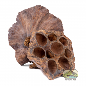 NewCal Lotus Pods (3-Pack) 4"