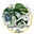 Kngdm Exotics logo